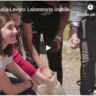 #OfficinedelFuturo #TreParole #LaboratorioStabile Città-Scuola-Lavoro: Laboratorio Stabile 2019 – DocuFilm